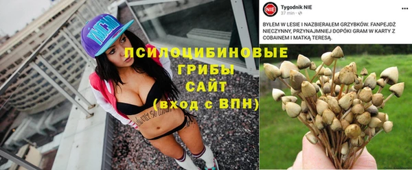 амф Белокуриха
