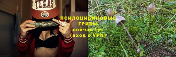 скорость Богданович
