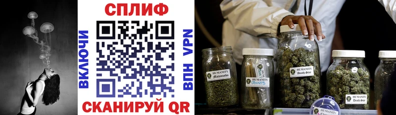MEGA маркетплейс цены наркотик Яранск Бошки марихуана сатива